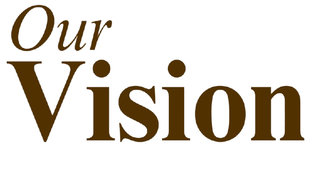 vision